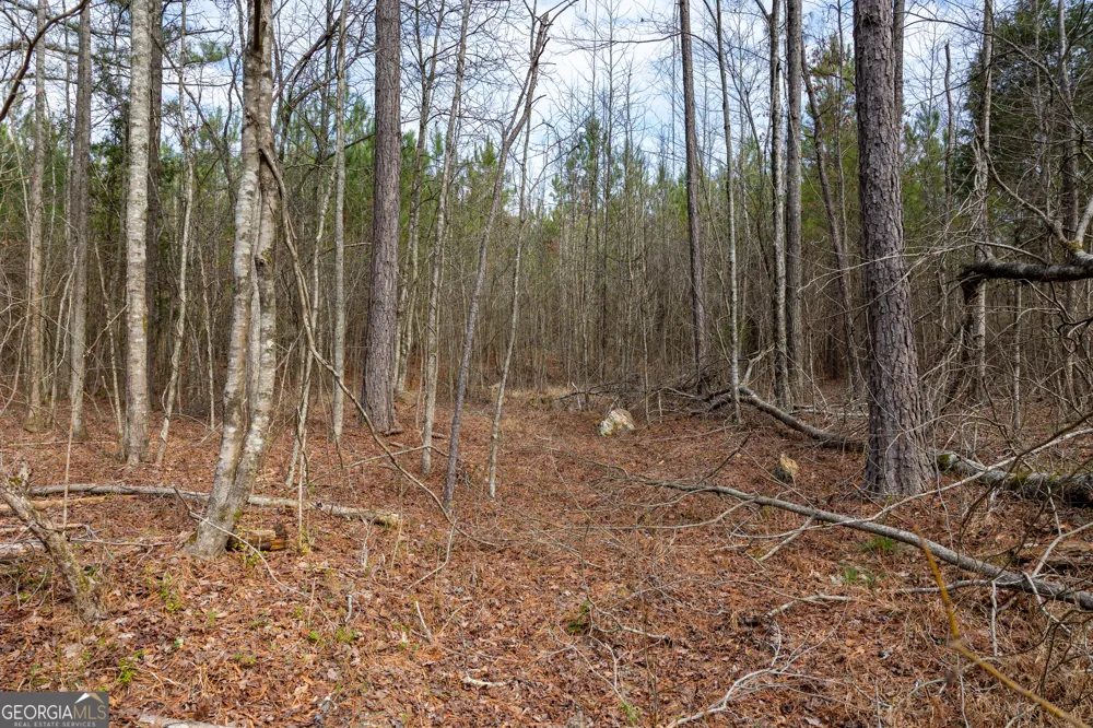 0 Hwy 411 Rome, GA 30161