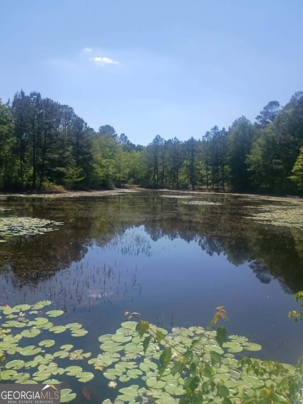 1196 Us Highway 319 N Tifton, GA 31794