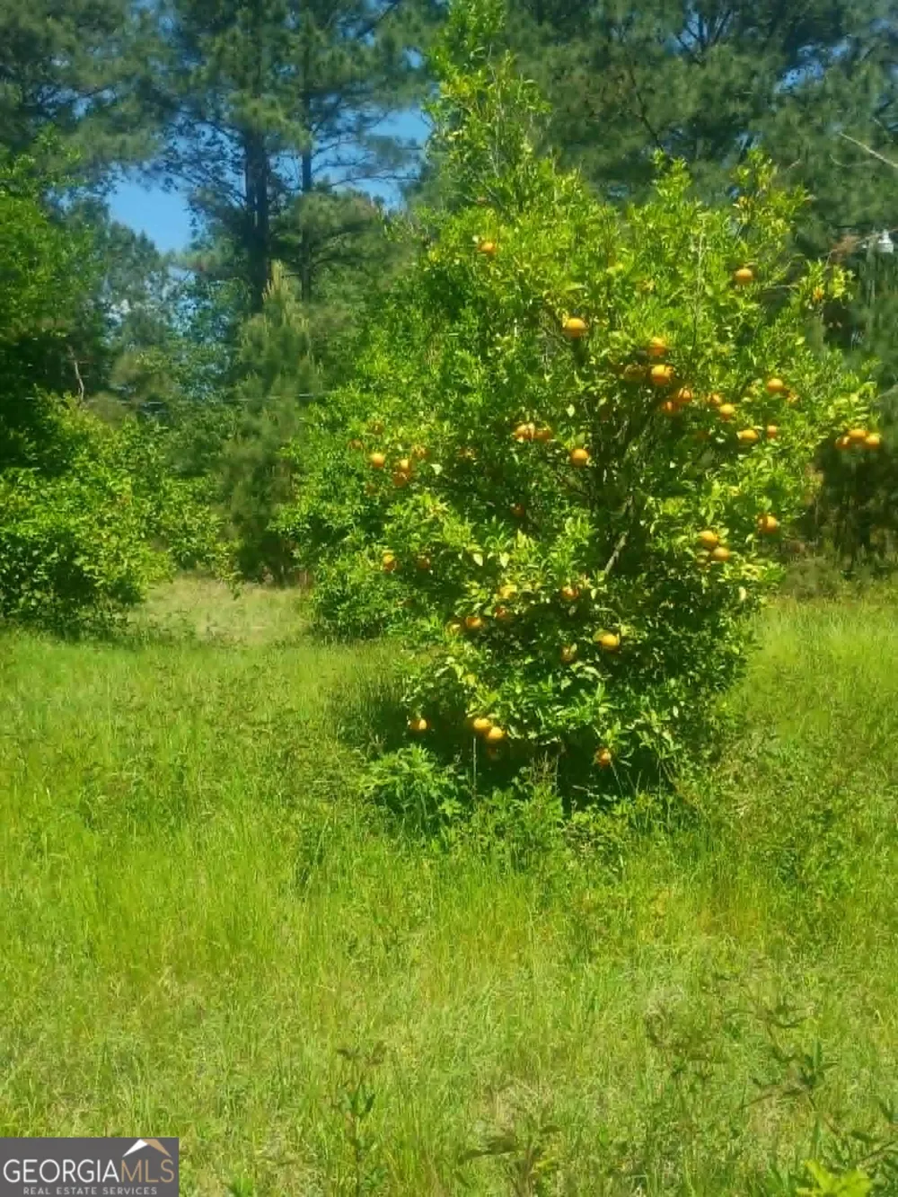 1196 Us Highway 319 N Tifton, GA 31794