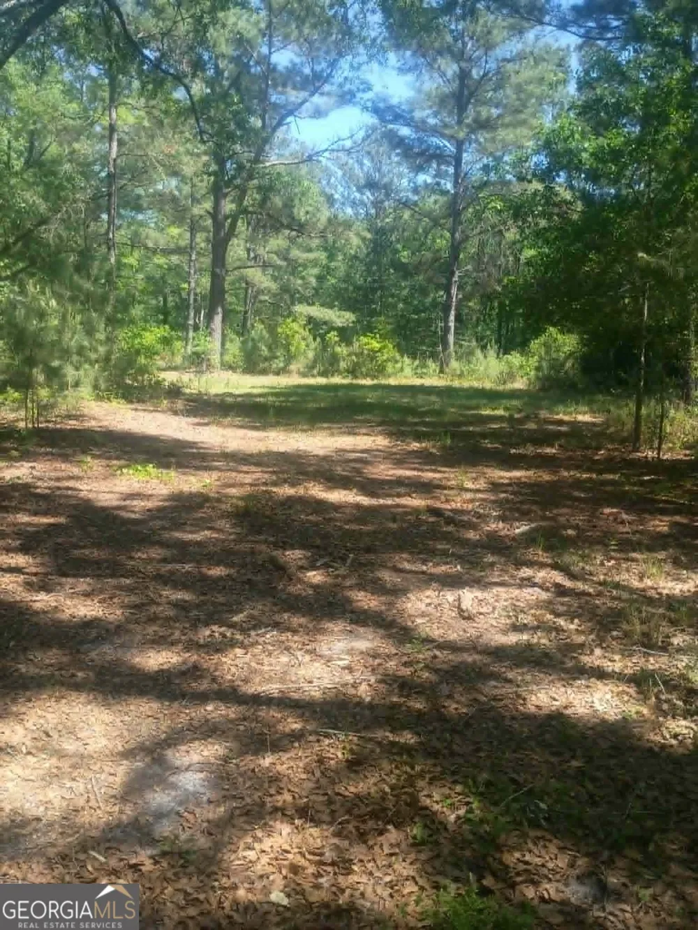 1196 Us Highway 319 N Tifton, GA 31794