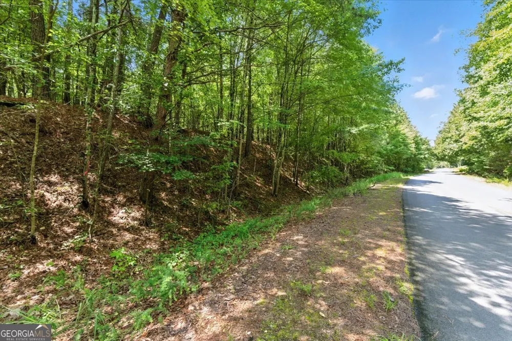 0 George RD Cave Spring, GA 30124