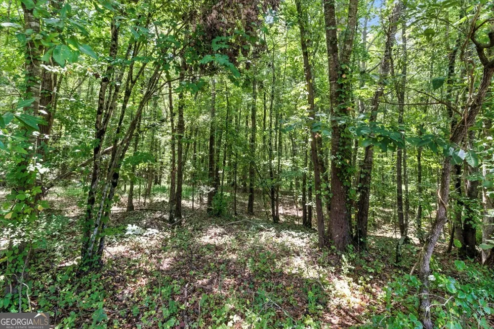 0 George RD Cave Spring, GA 30124