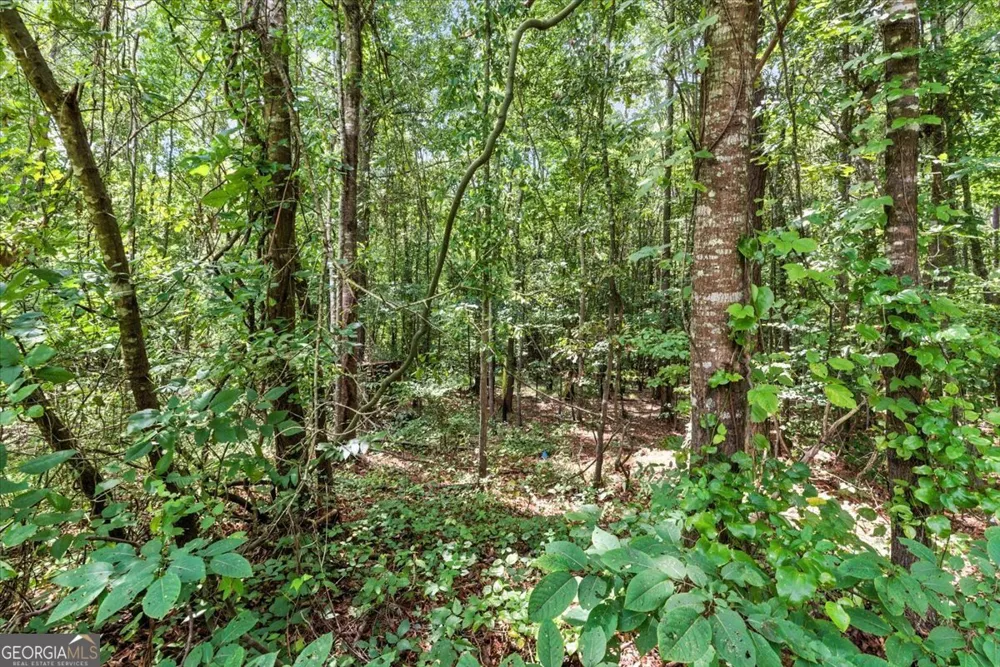 0 George RD Cave Spring, GA 30124