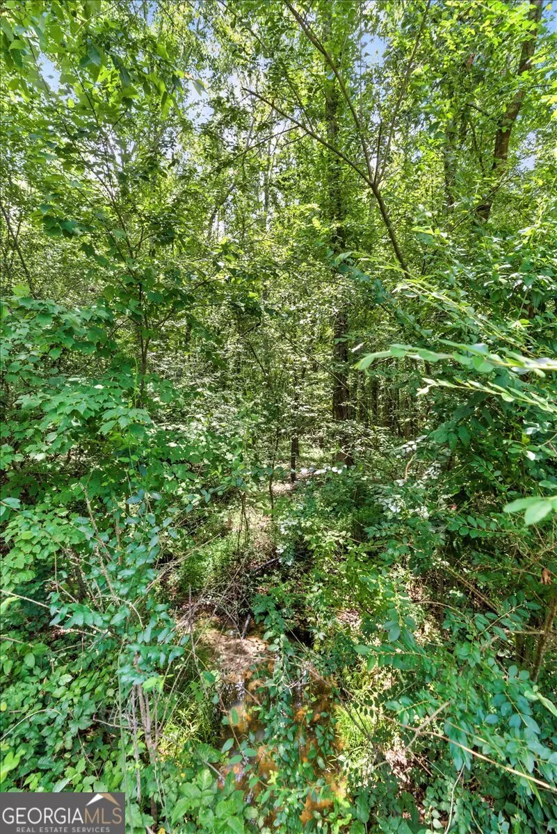 0 George RD Cave Spring, GA 30124