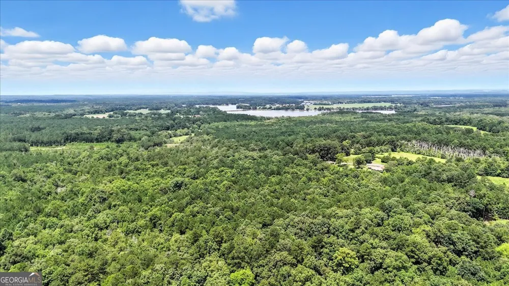 0 George RD Cave Spring, GA 30124