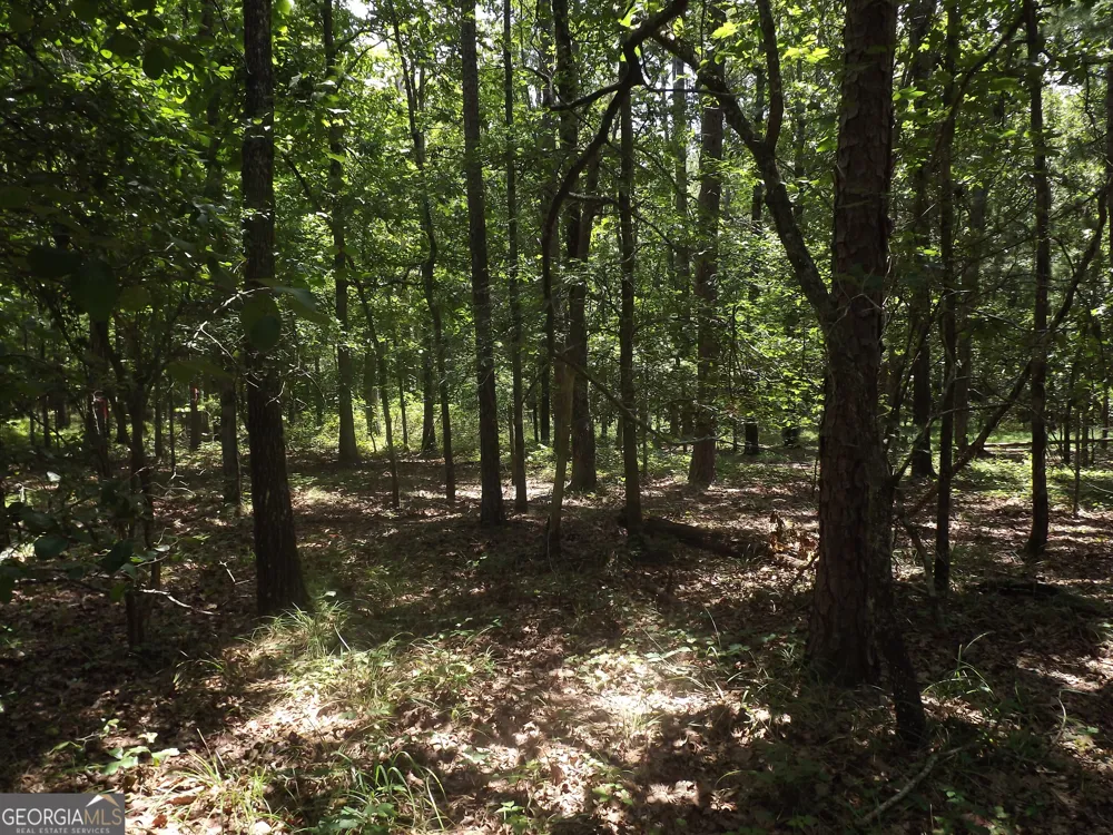 0 George RD Cave Spring, GA 30124