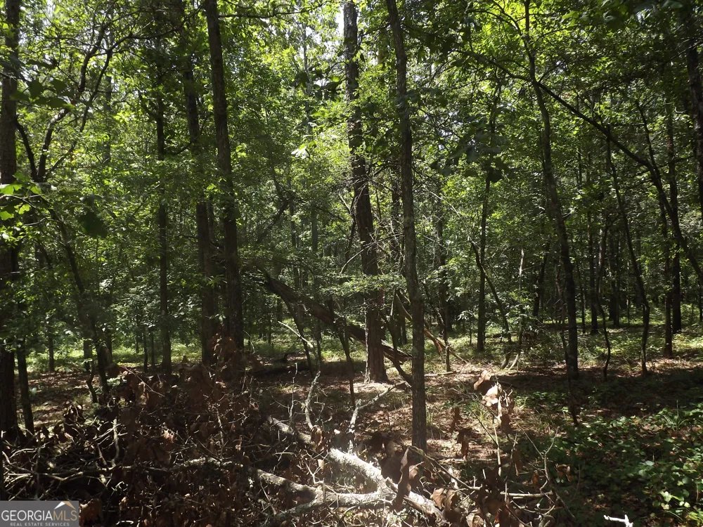 0 George RD Cave Spring, GA 30124