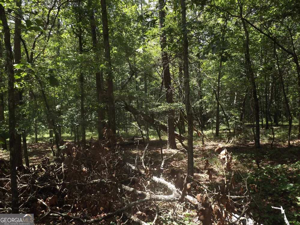 0 George RD Cave Spring, GA 30124