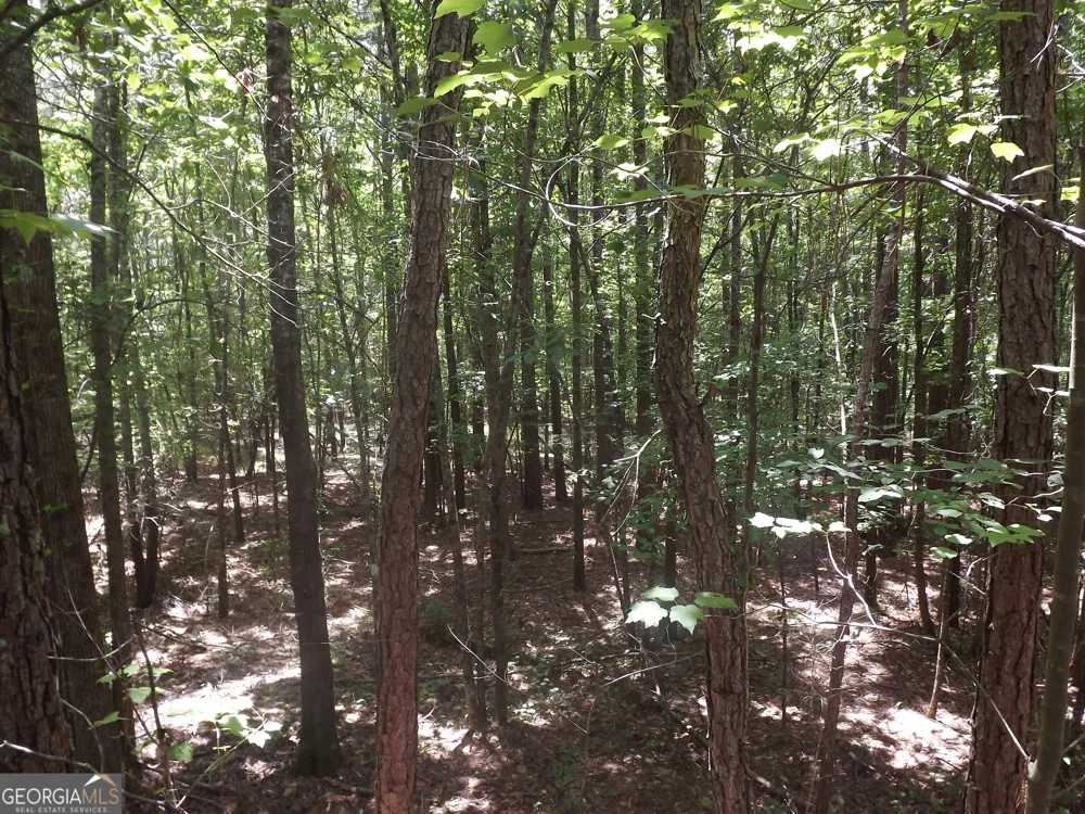 0 George RD Cave Spring, GA 30124