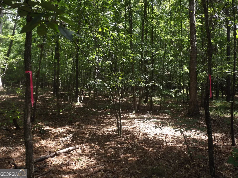 0 George RD Cave Spring, GA 30124