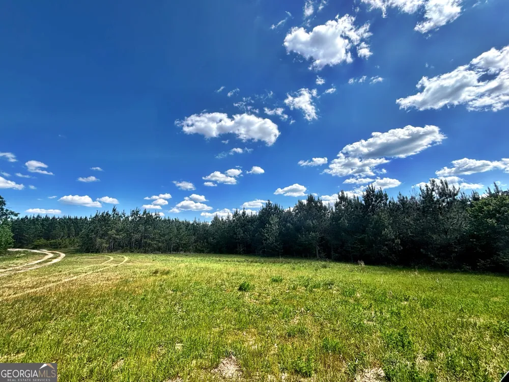 0 Wilson WAY Musella, GA 31066