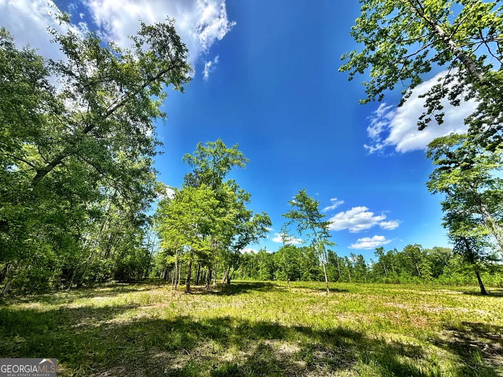 0 Wilson WAY Musella, GA 31066