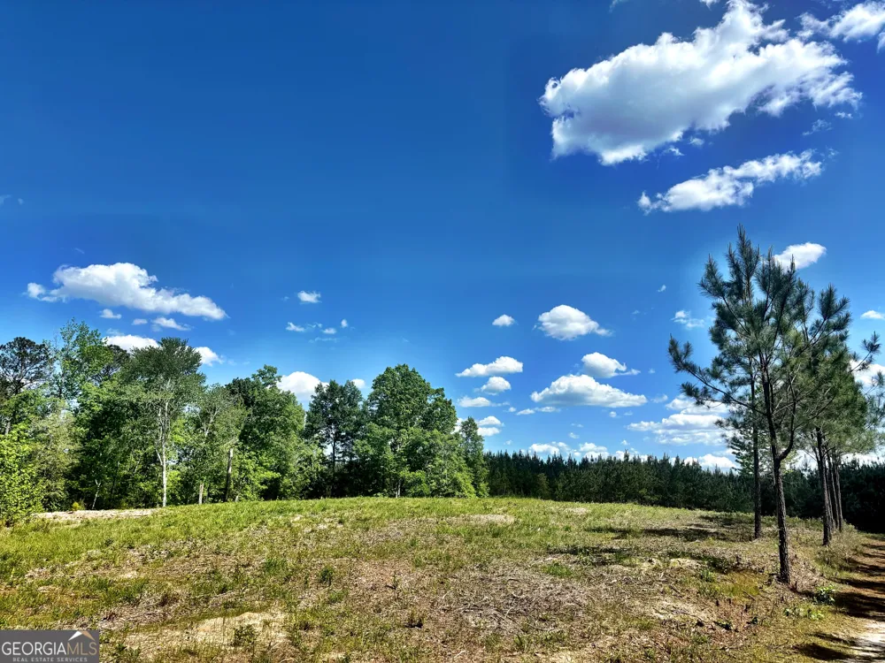 0 Wilson WAY Musella, GA 31066