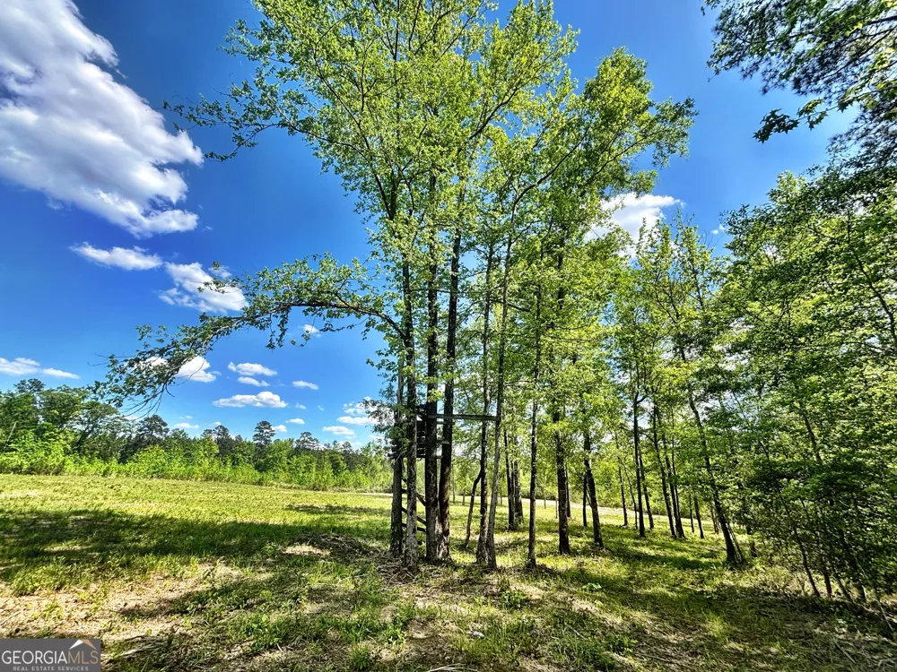 0 Wilson WAY Musella, GA 31066