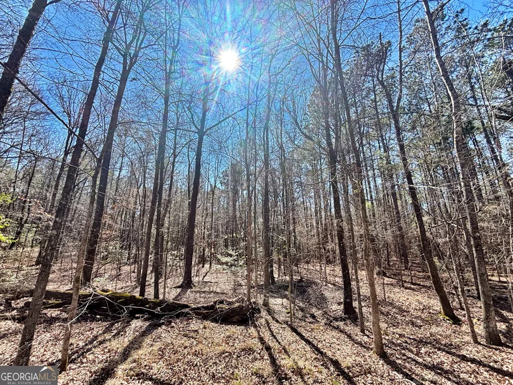 0 Wilson WAY Musella, GA 31066
