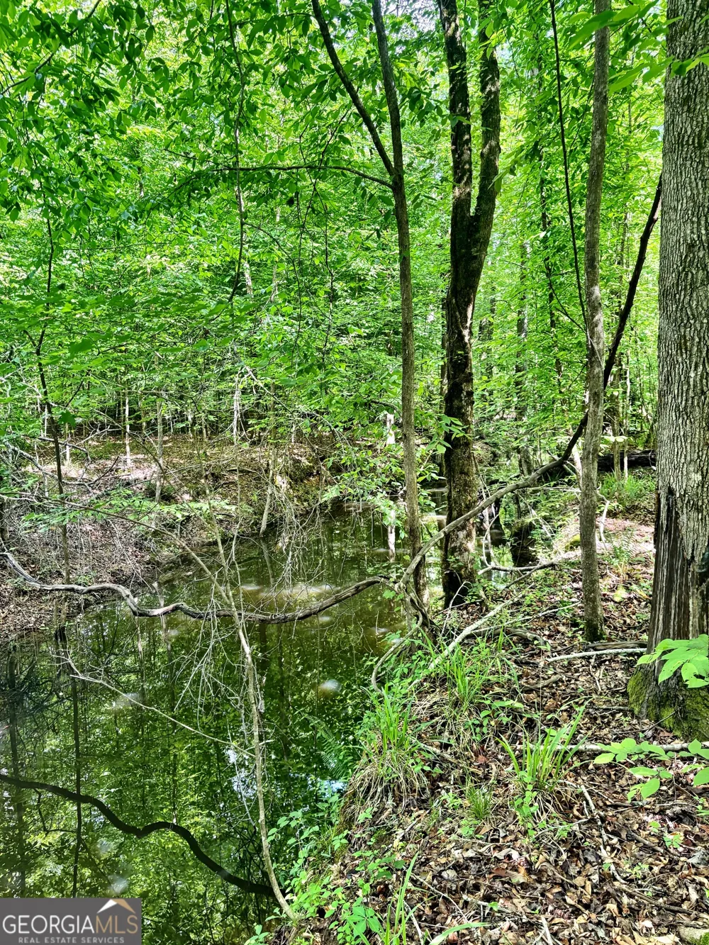 0 Wilson WAY Musella, GA 31066