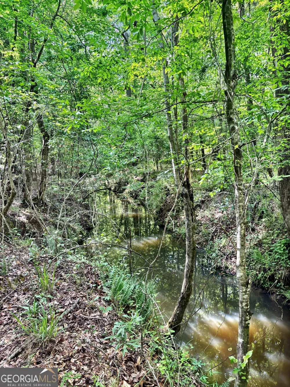 0 Wilson WAY Musella, GA 31066