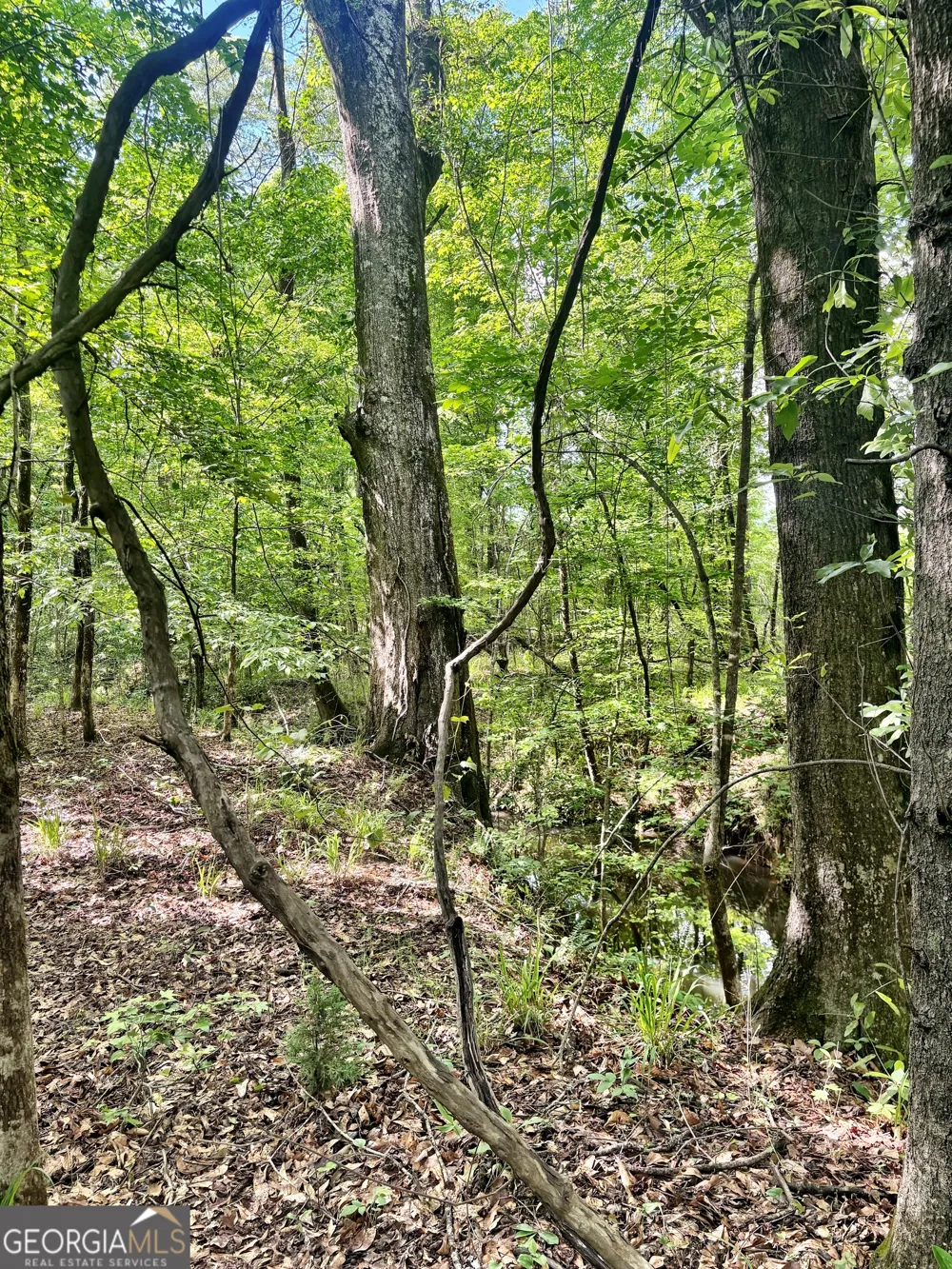 0 Wilson WAY Musella, GA 31066