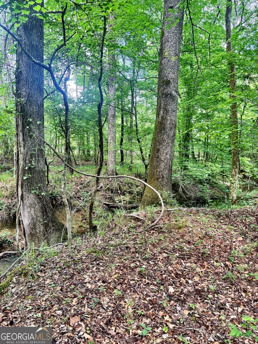 0 Wilson WAY Musella, GA 31066