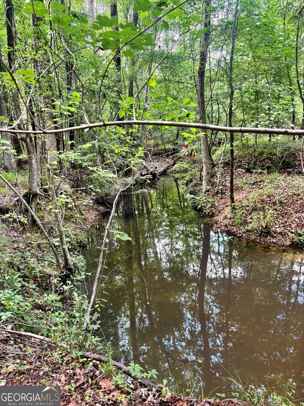 0 Wilson WAY Musella, GA 31066