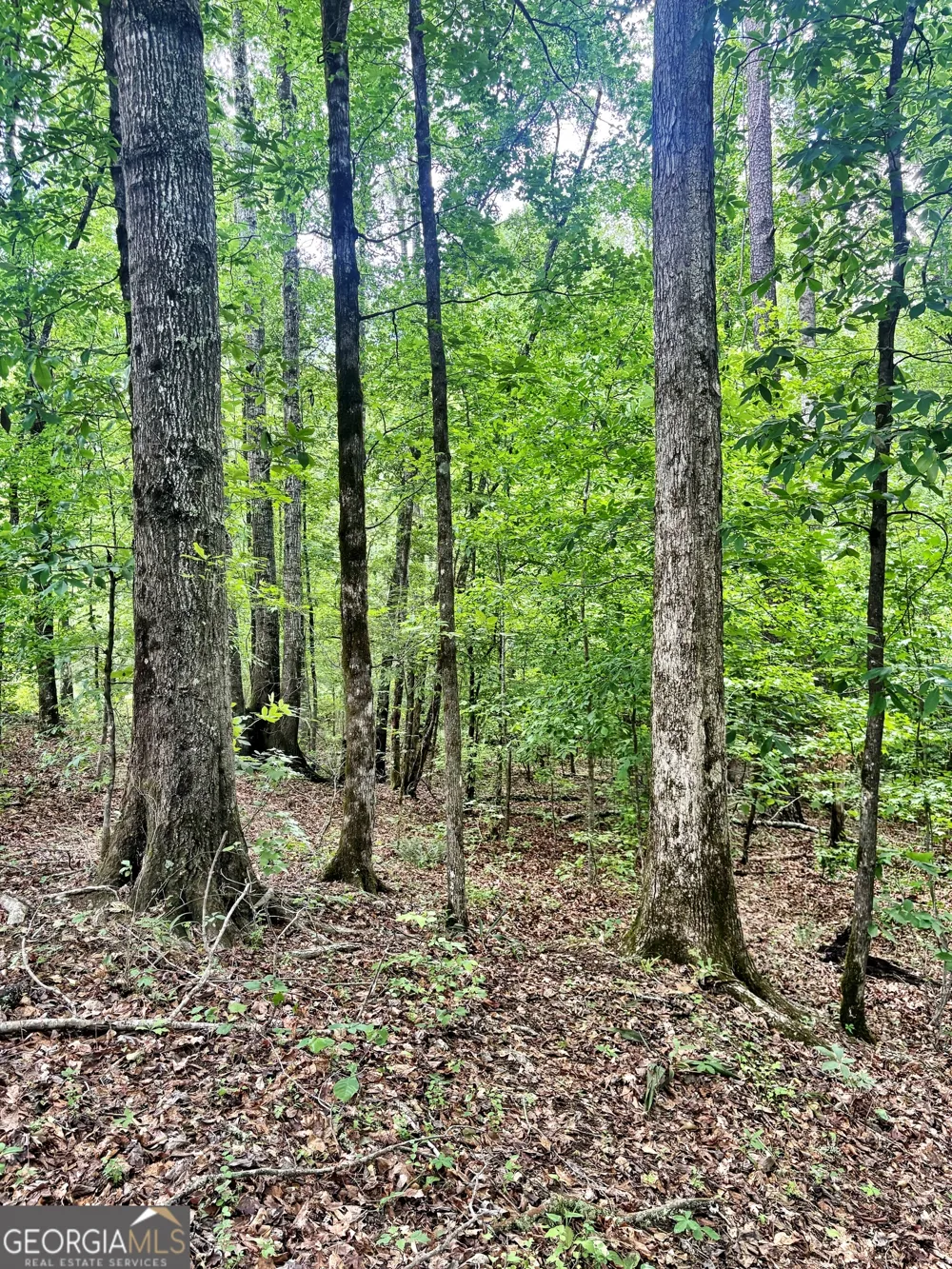 0 Wilson WAY Musella, GA 31066