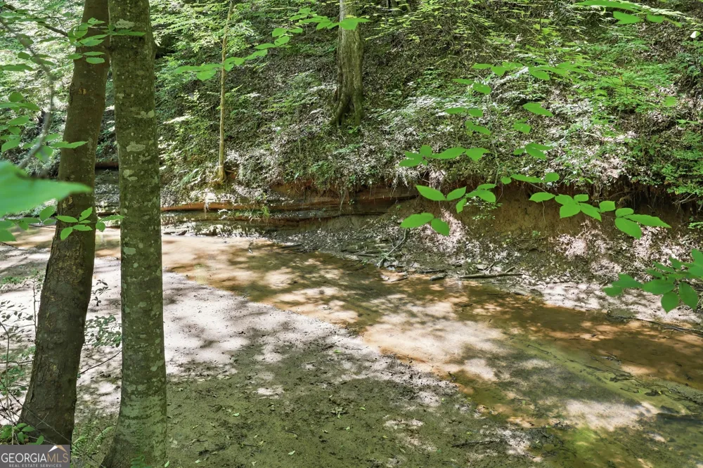 1603 Highway 63 Homer, GA 30547