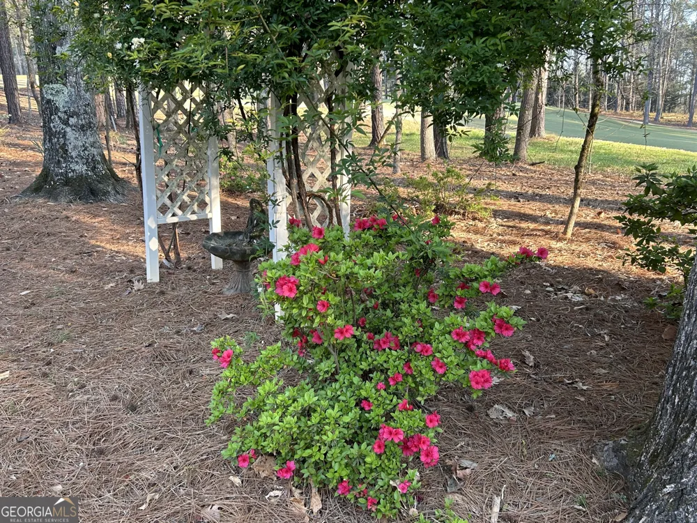 1660 Club DR Greensboro, GA 30642