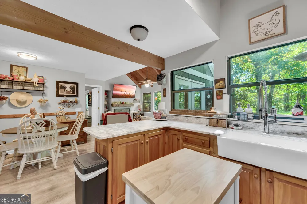 65 Vienna Ring Helen, GA 30545