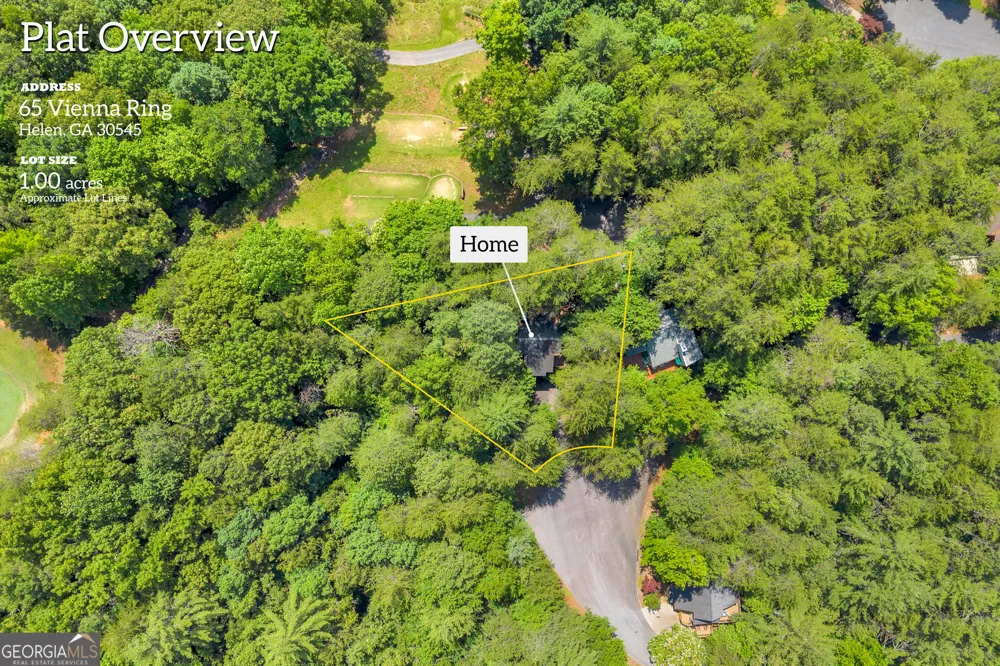 65 Vienna Ring Helen, GA 30545