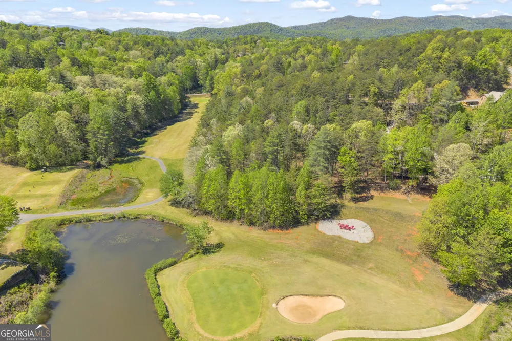 65 Vienna Ring Helen, GA 30545