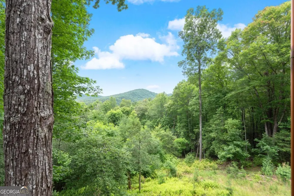 98 Aries LN Blue Ridge, GA 30513