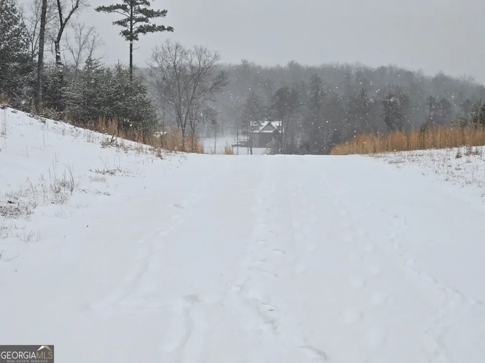 396 Greenfield RD Morganton, GA 30560