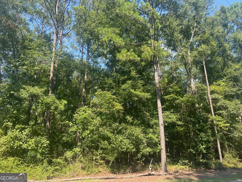 203 Pebble Cove RD Abbeville, AL 36310