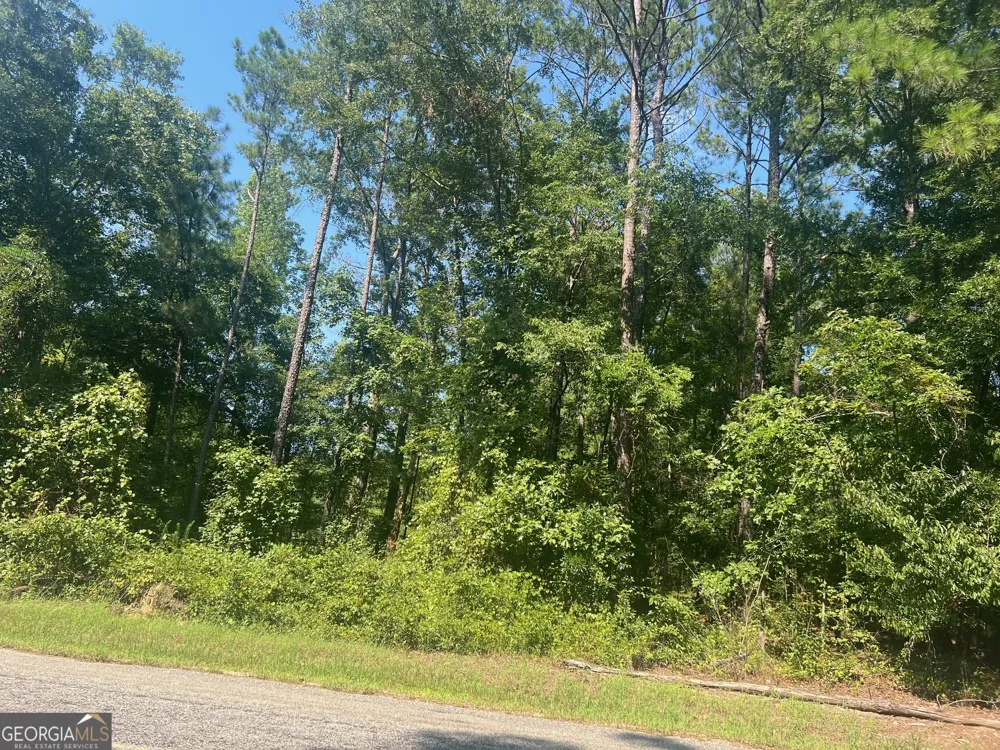 203 Pebble Cove RD Abbeville, AL 36310