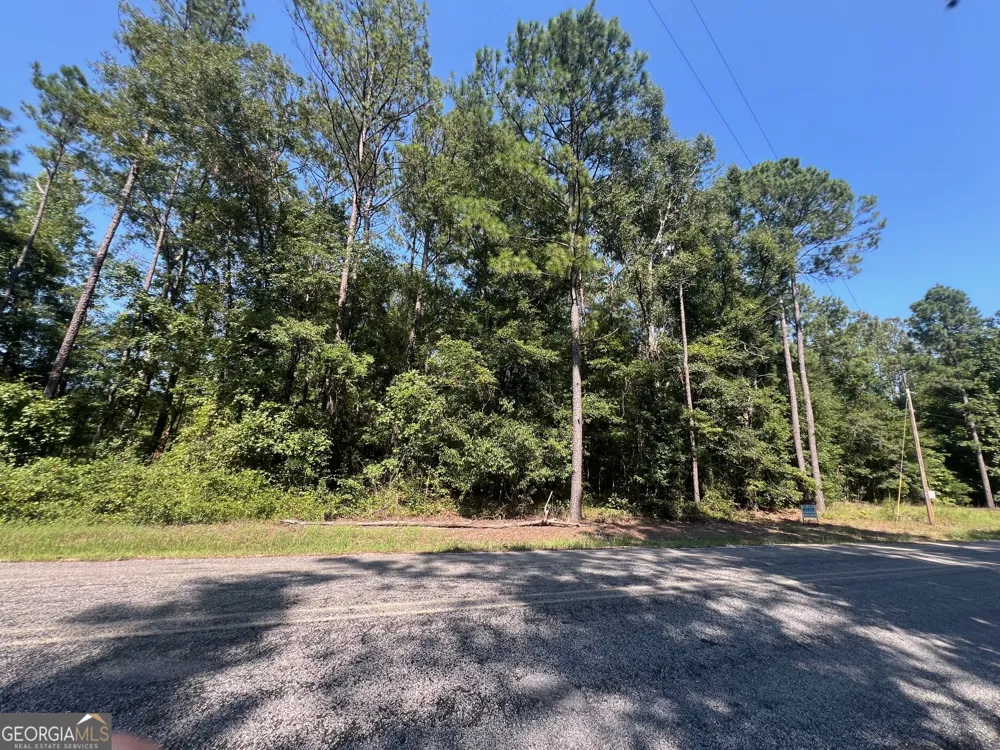 203 Pebble Cove RD Abbeville, AL 36310