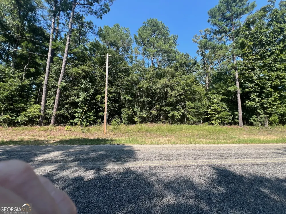 203 Pebble Cove RD Abbeville, AL 36310