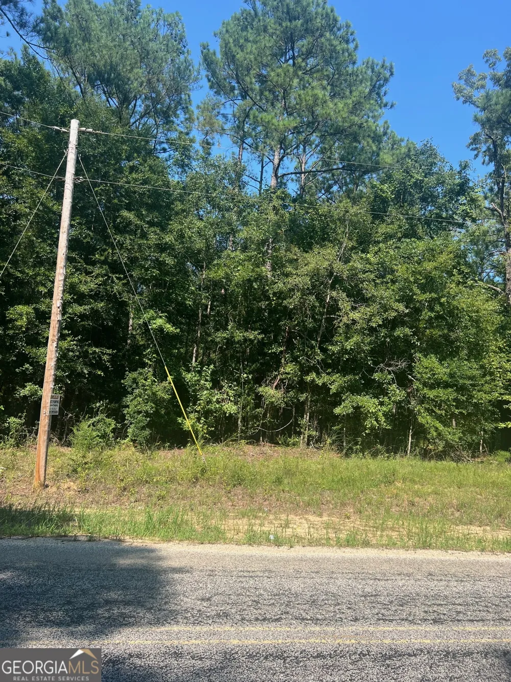203 Pebble Cove RD Abbeville, AL 36310