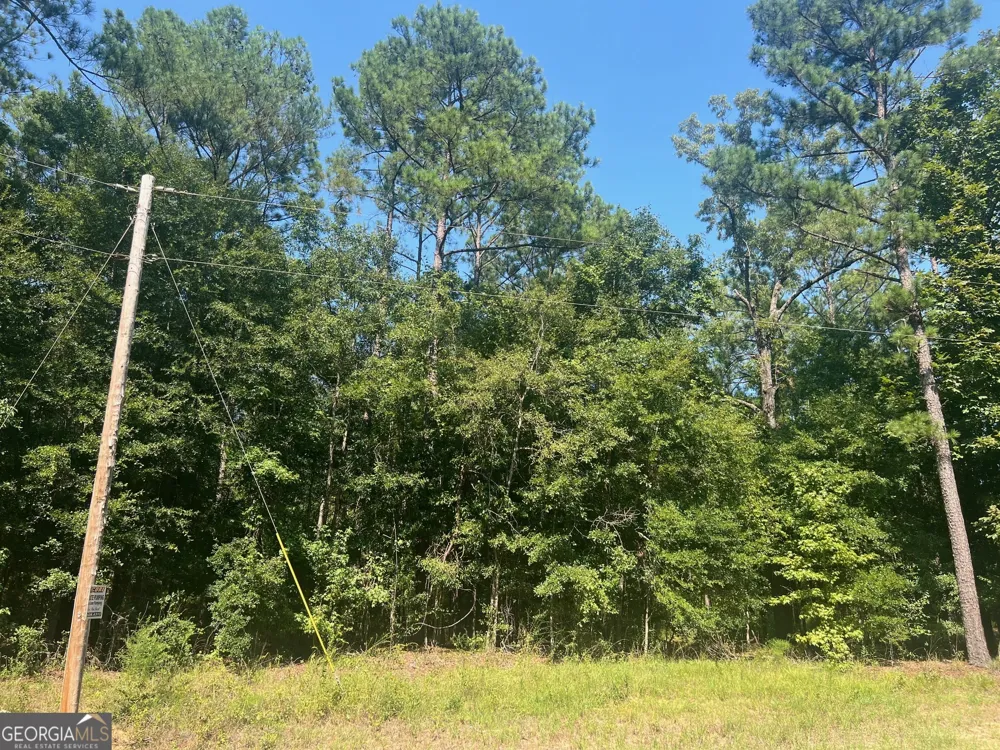 203 Pebble Cove RD Abbeville, AL 36310