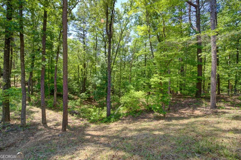 2182 Ben Higgins RD Dahlonega, GA 30533
