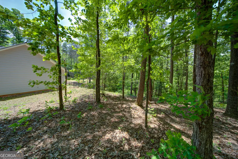 2182 Ben Higgins RD Dahlonega, GA 30533