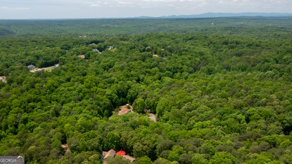 2182 Ben Higgins RD Dahlonega, GA 30533