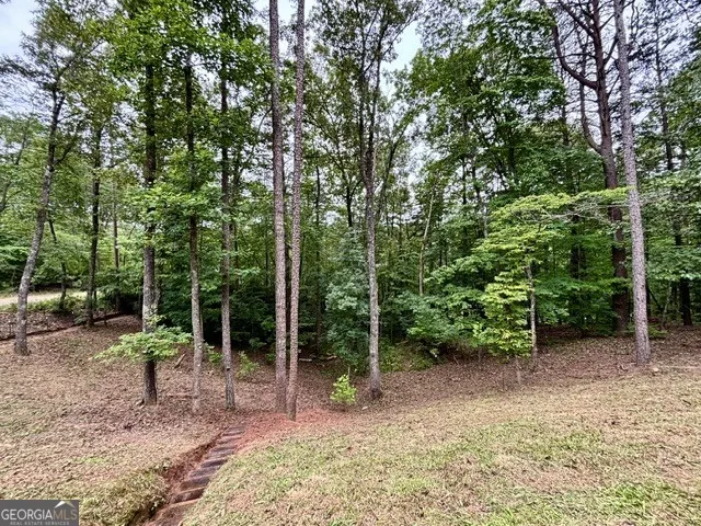 2182 Ben Higgins RD Dahlonega, GA 30533
