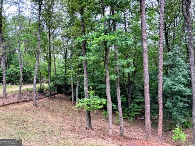 2182 Ben Higgins RD Dahlonega, GA 30533