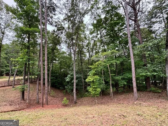2182 Ben Higgins RD Dahlonega, GA 30533