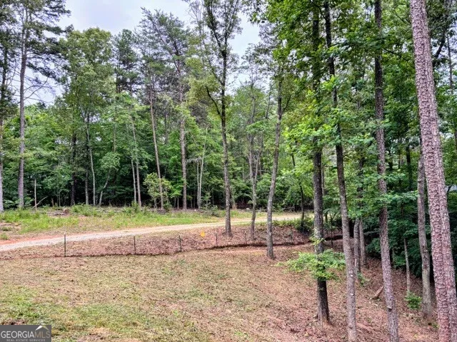 2182 Ben Higgins RD Dahlonega, GA 30533