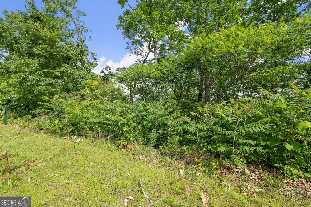 LOT 12A Winterberry TRL Clayton, GA 30525