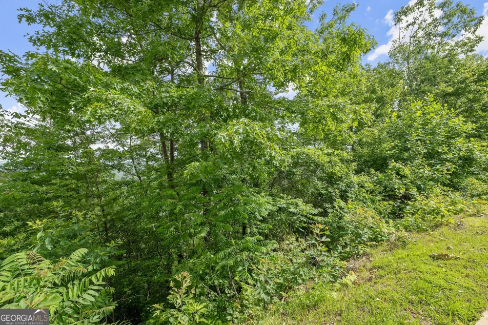 LOT 12A Winterberry TRL Clayton, GA 30525