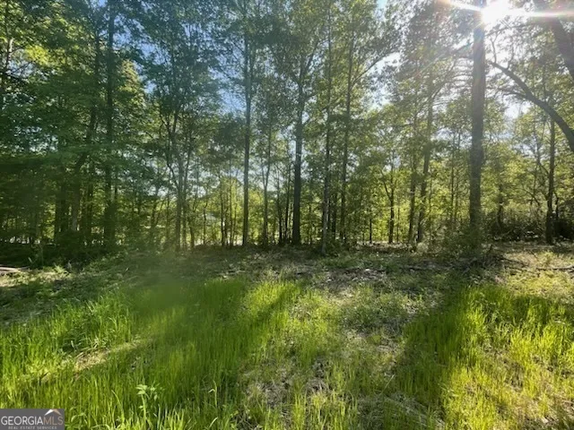 815 Aj Irvin Talmo, GA 30575