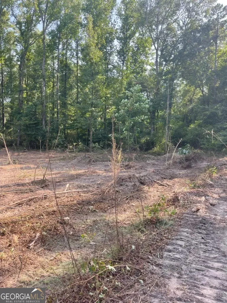 815 Aj Irvin Talmo, GA 30575