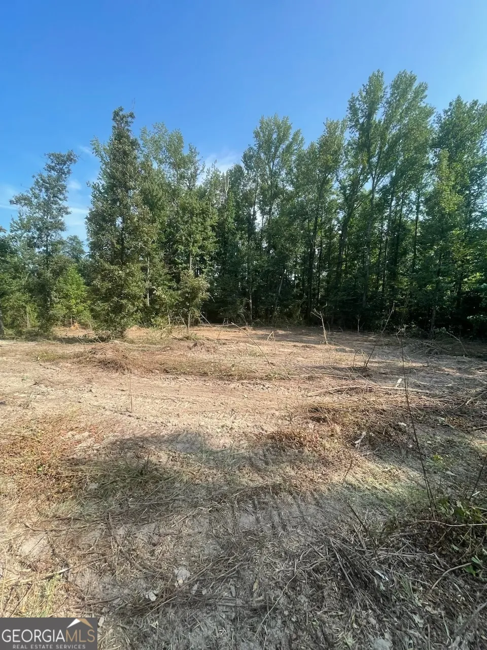 815 Aj Irvin Talmo, GA 30575